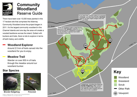 alderney-community-woodland-alderney-wildlife-trust